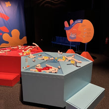 Load image into Gallery viewer, Taubmans x Scienceworks - Air Playground (Single Colour)
